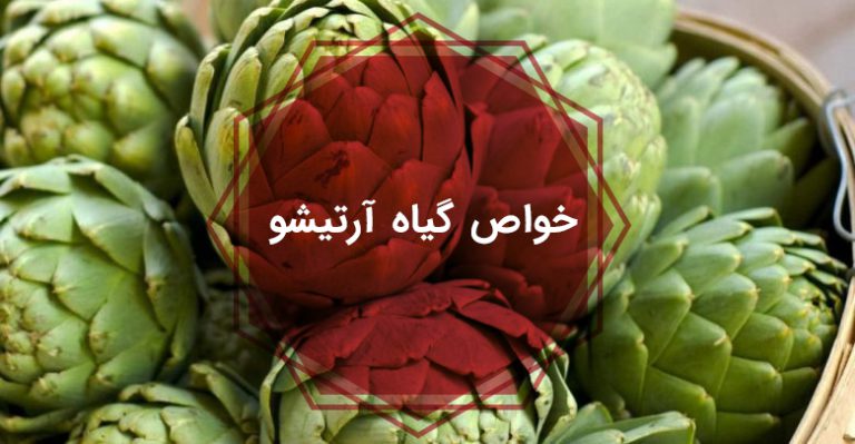 آرتیشو