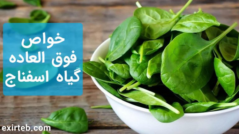 خواص اسفناج