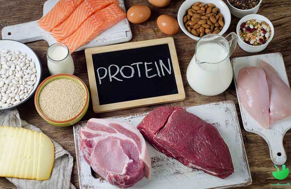 درمان کم کاری تیروئید با مصرف پروتئین