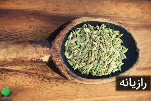 کاهش 100 درصدی قند خون با 11 گیاه دارویی در طب سنتی - اکسیر طب