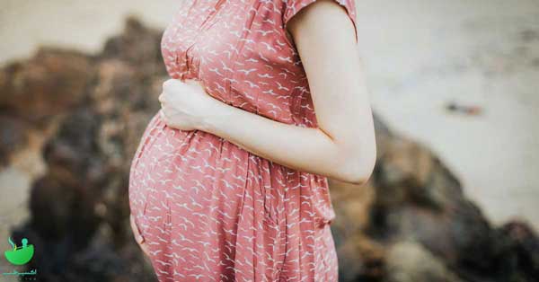 خواص طالبی برای بارداری