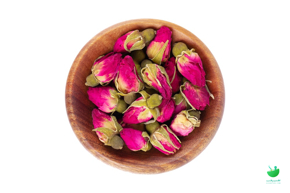 غنچه های گل سرخ