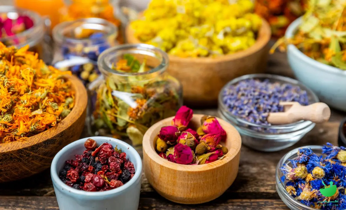 گیاهان دارویی برای تسکین سرفه‌های خشک
