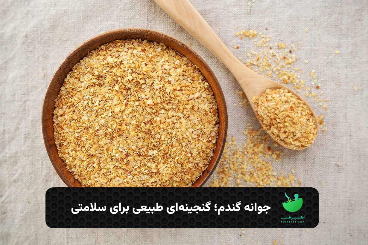 جوانه گندم؛ گنجینه‌ای طبیعی برای سلامتی